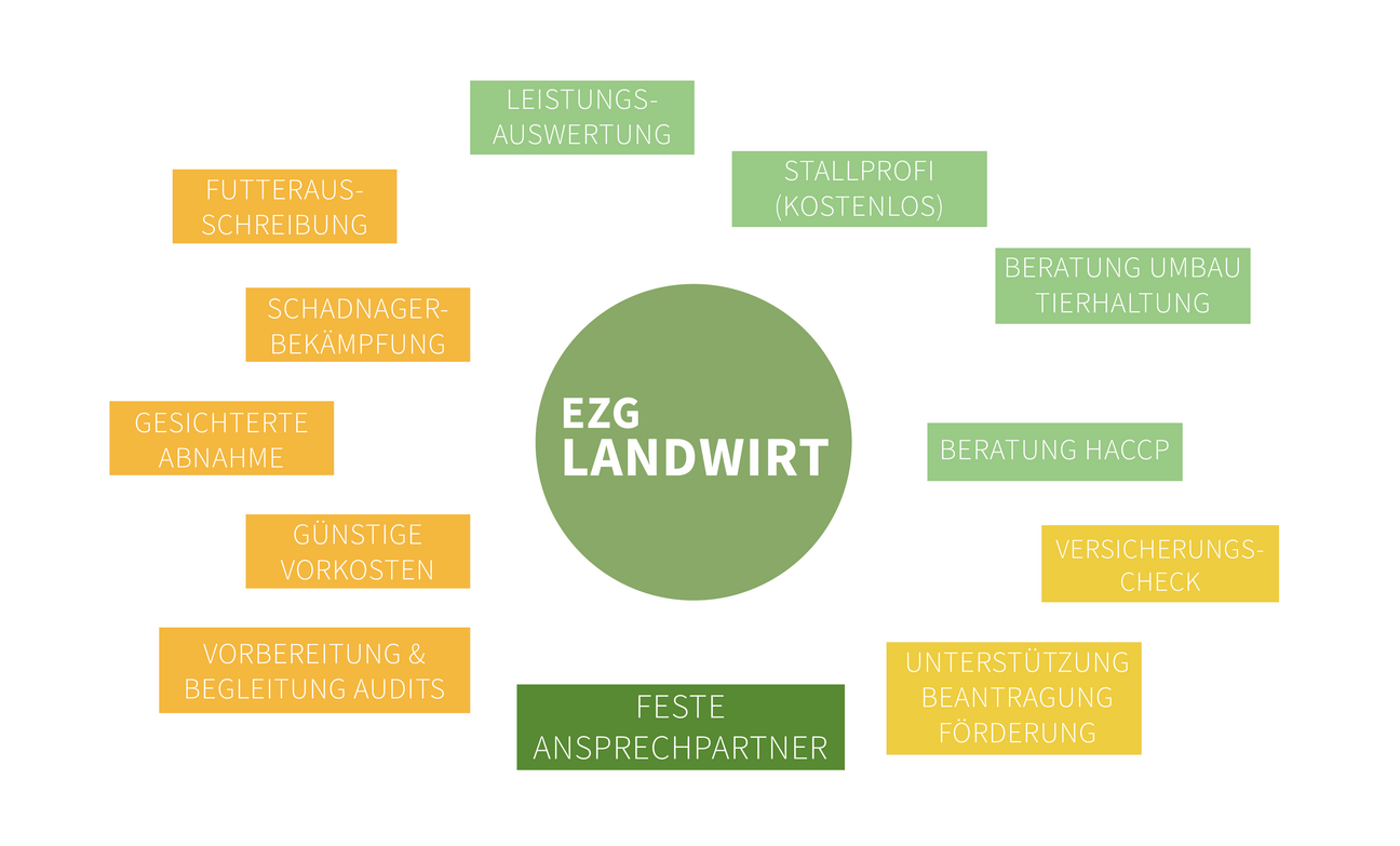 Leistungen EZG im OM